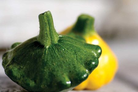 The Cucurbit: All About Cucumbers, Squash, Zucchini, Melons and Pumpkins Image